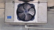High speed 110 fan